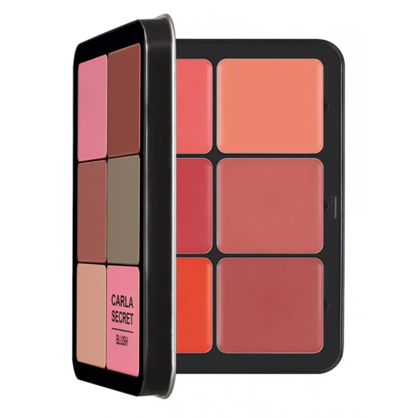 Palette de fards à joues crémeux de 16 couleurs – Crème de fard à joues mate, anti-cernes et rouge à lèvres longue tenue dans une seule palette de maquillage – Image 3