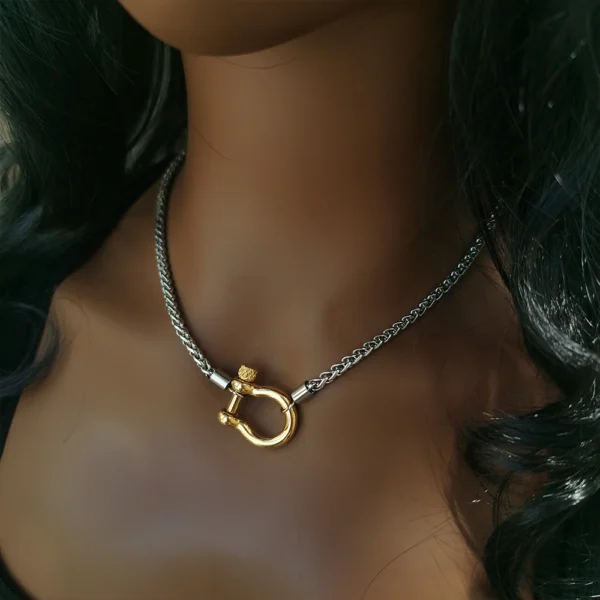 Collier Ras du Cou en Acier Inoxydable Plaqué Or 18K, Bijoux Étanches, Deux Tons, Fer à Cheval, YF3383 – Image 3