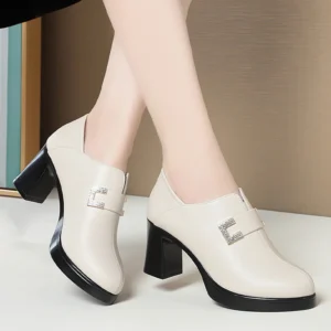 Chaussures en cuir souple polyvalentes pour femmes, chaussures à plateforme imperméables, bouche profonde élégante, talons aiguilles, robe d'affaires de bureau, printemps, automne